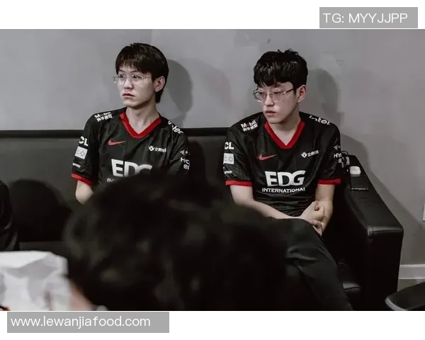 EDG在挑战者杯中的战术表现分析与评价探讨